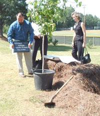 Ashleigh Webster memorial tree planting