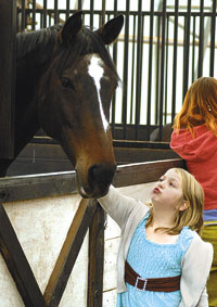 Horses offer therapy in rural setting