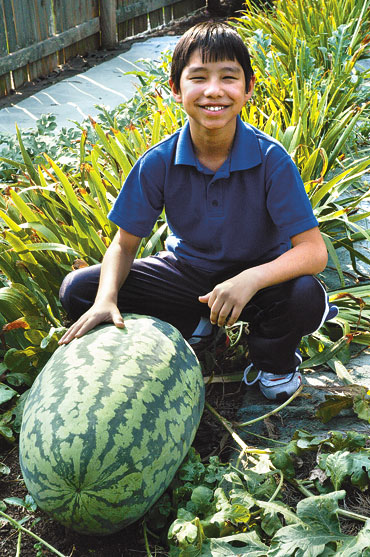 Massive melon