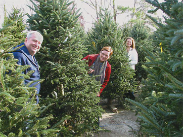 Finding the perfect tree for Christmas